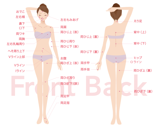 シースリー（C3）渋谷店は全身53ヶ所脱毛